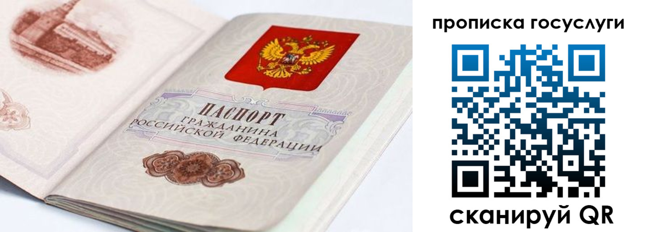 прописка регистрация в Бикине